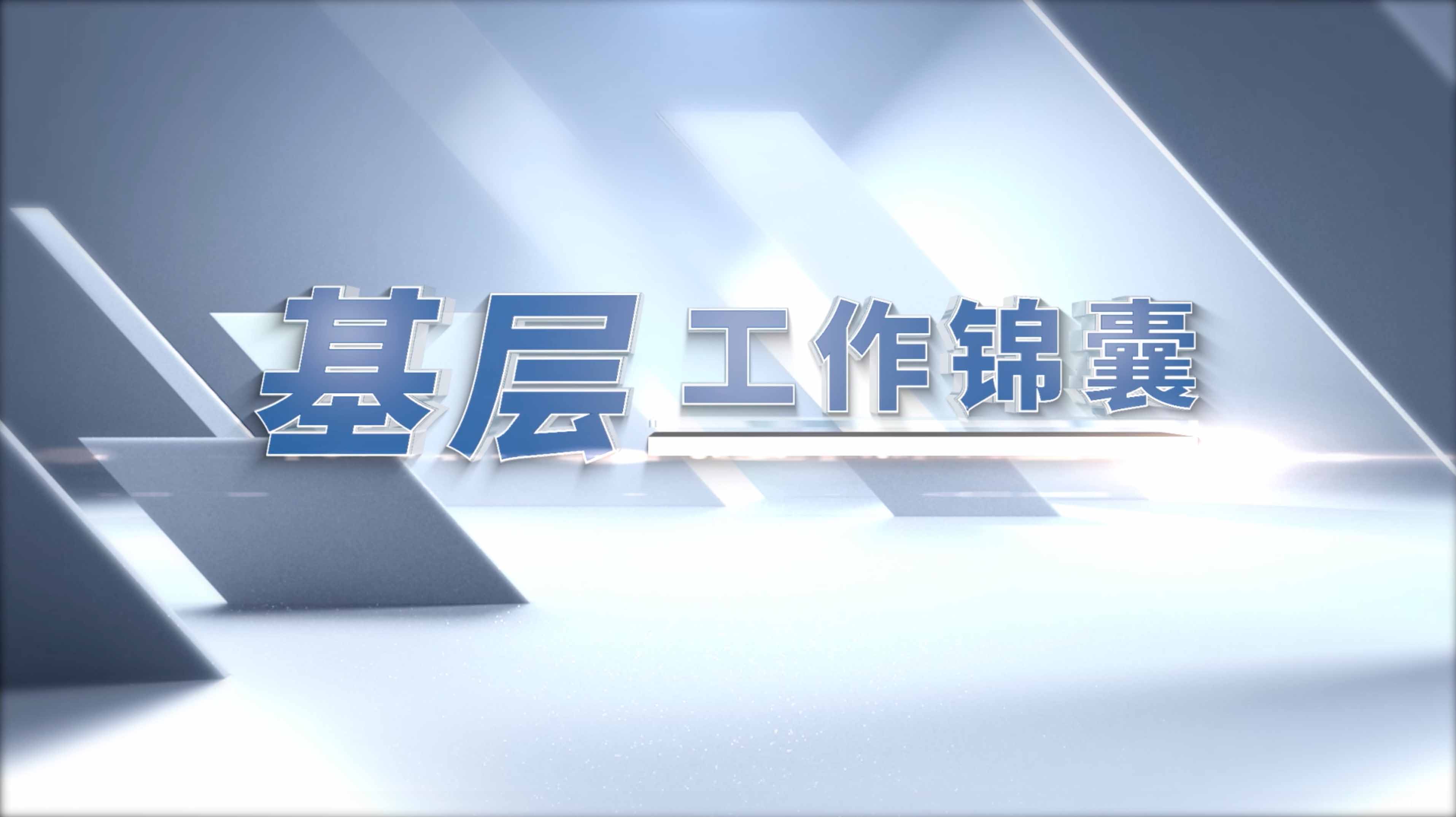  《基层工作锦囊》系列《为实是举》