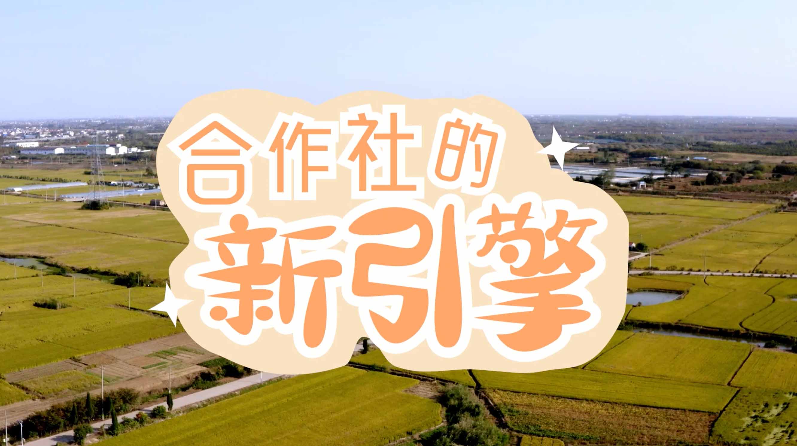  《合作社的“新引擎”》