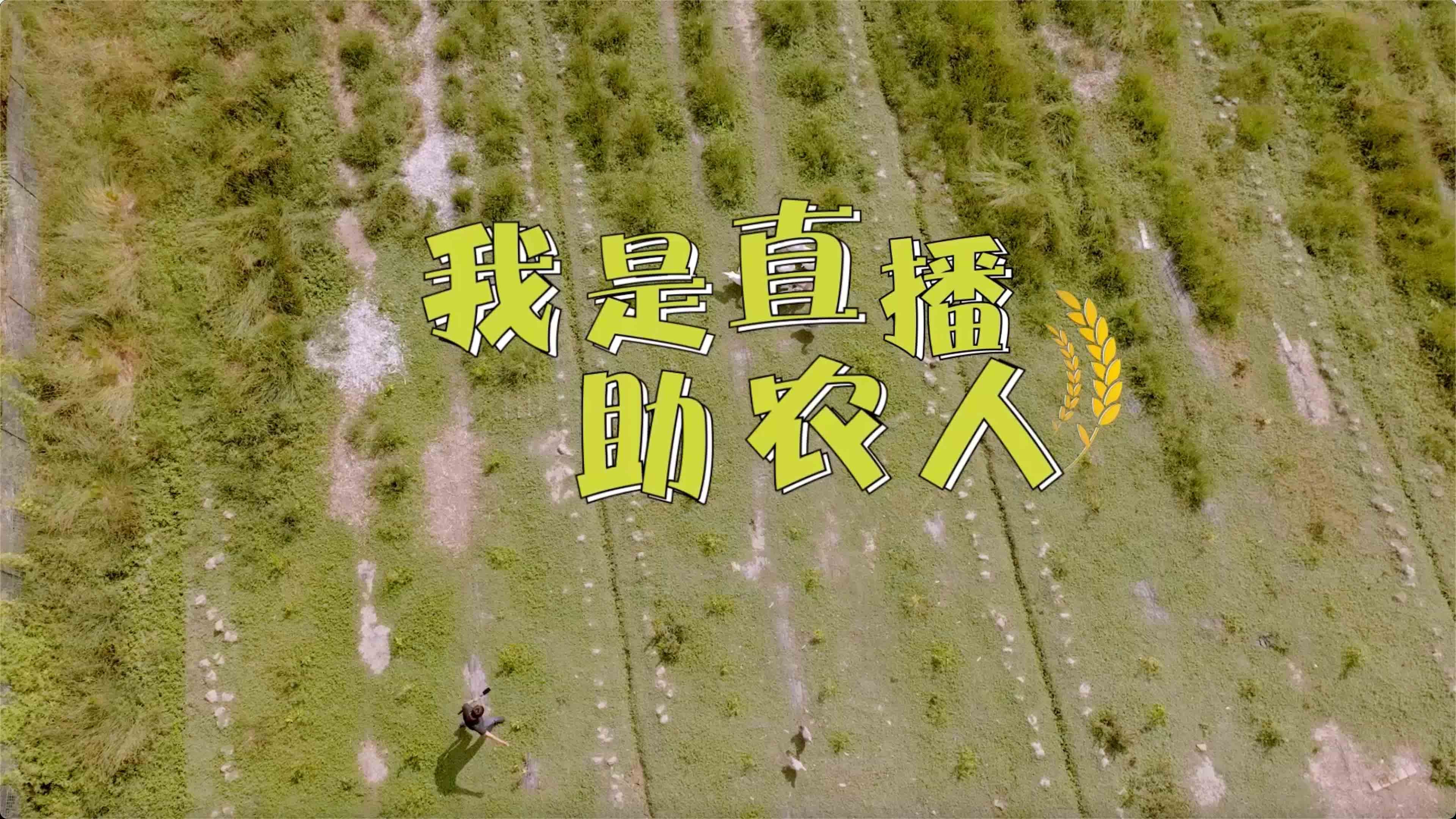 《振兴路上你我他》系列《我是直播助农人》