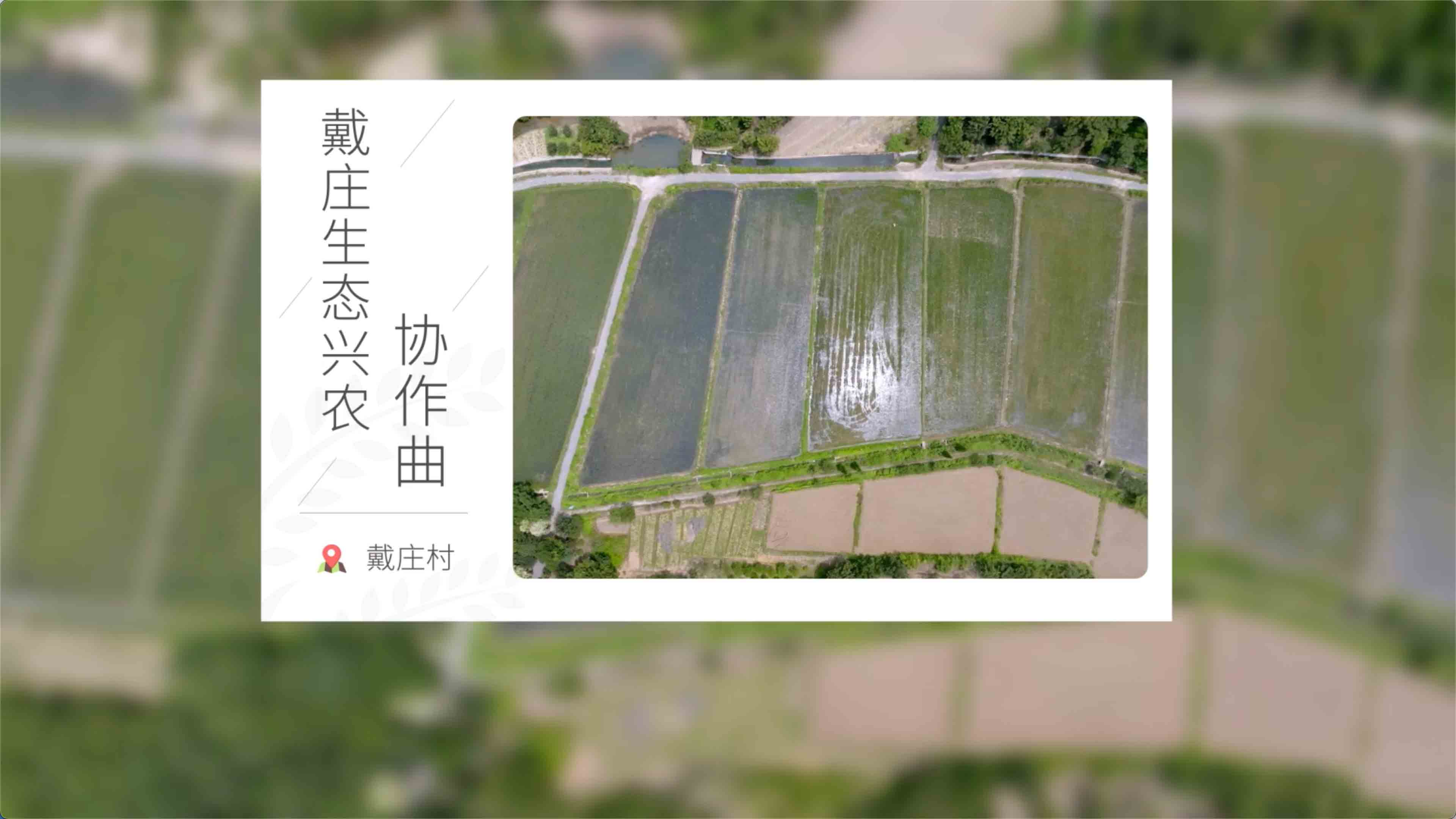  《戴庄生态兴农协作曲》