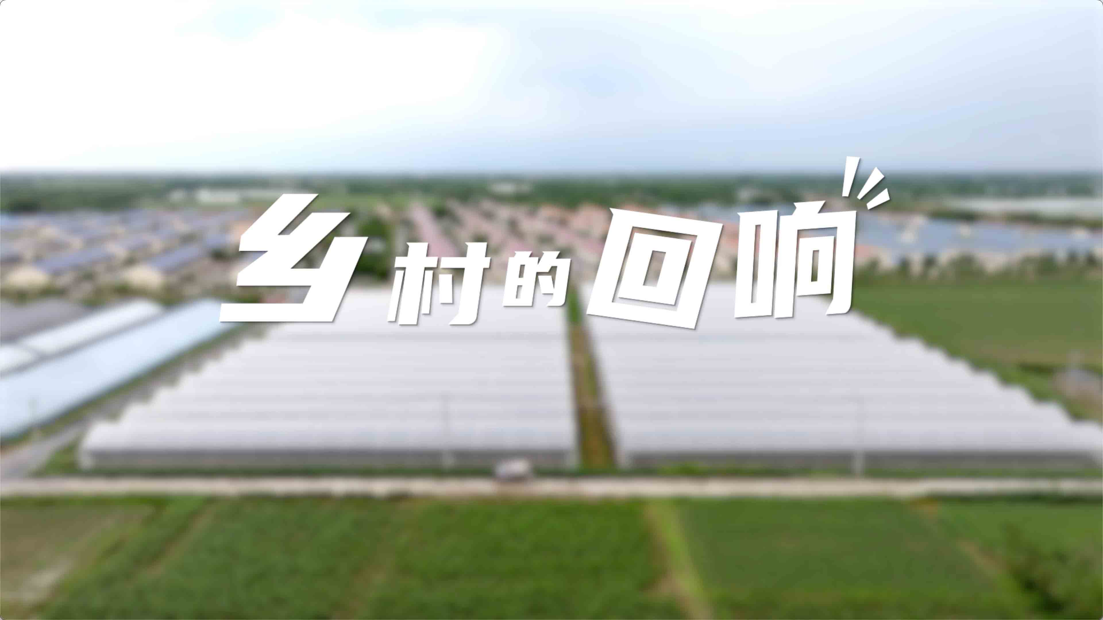  《旗帜·领航—乡村的回响》