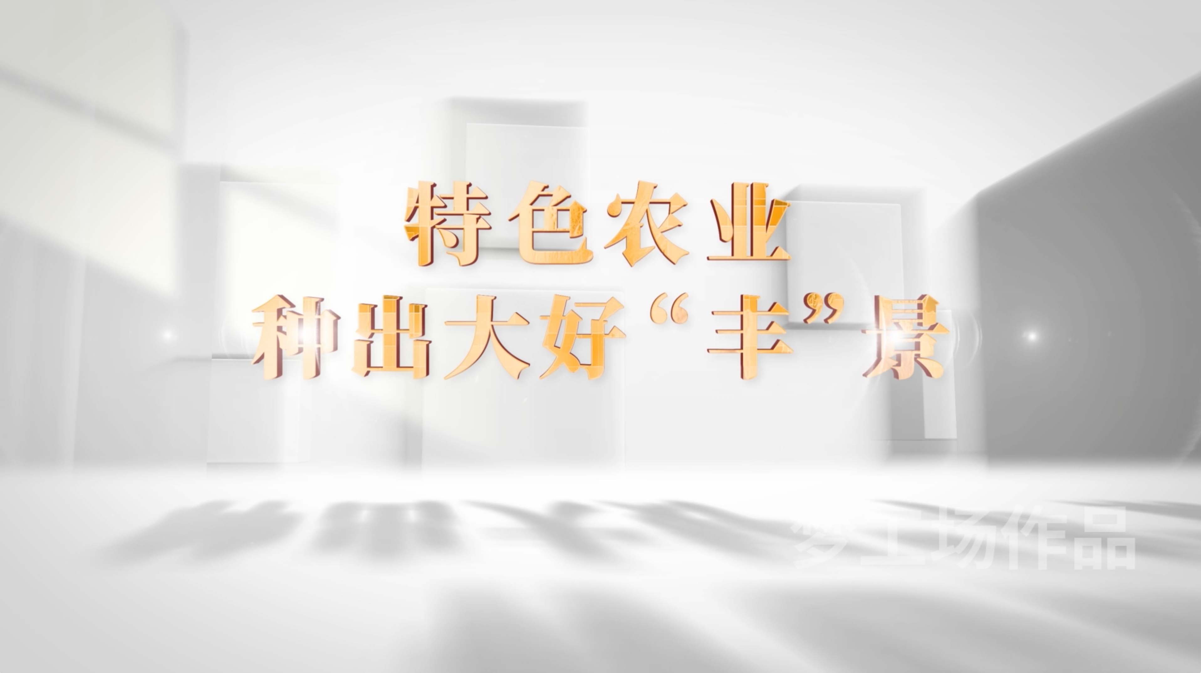  《走好振兴路》种出大好“丰”景